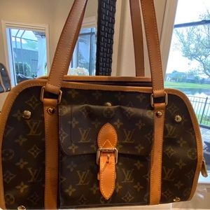 Louis Vuitton Baxter  monogram travel Bag dog pet carrier (38×25×20cm)